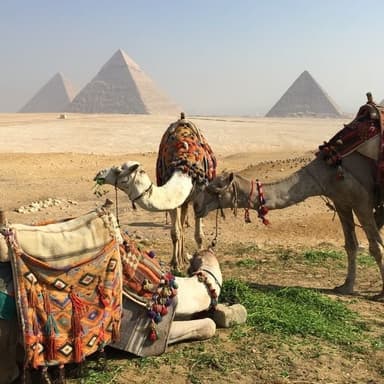 Half-Day Pyramids Tour -0